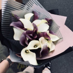 19 калл микс в упаковке