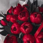 15 красных пионов с зеленью